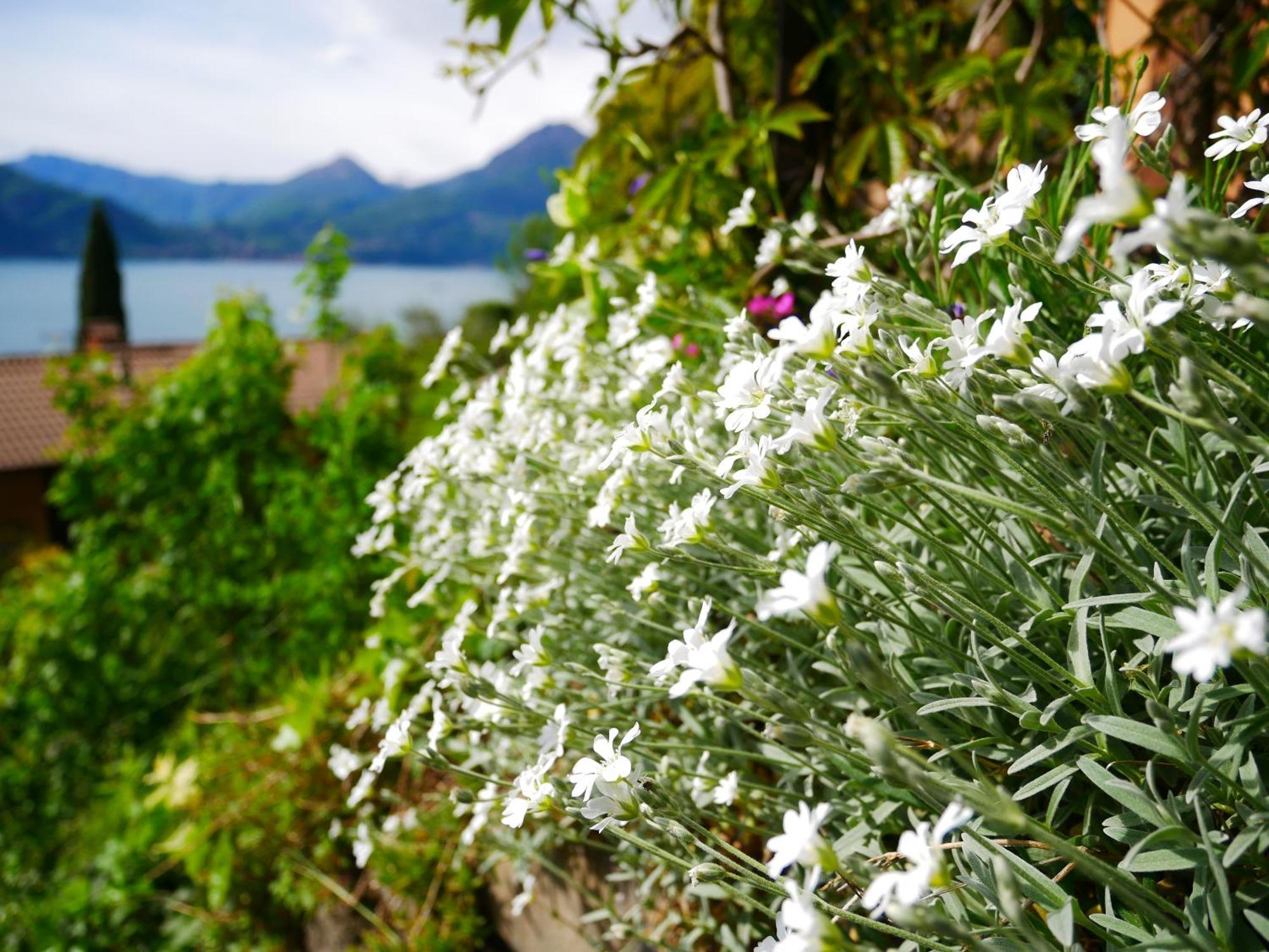 Vila Lakeview Retrait Varenna Exteriér fotografie